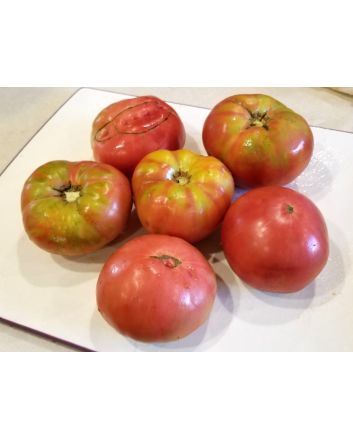 Tomato 'German Johnson' Seeds (Naturally Grown)