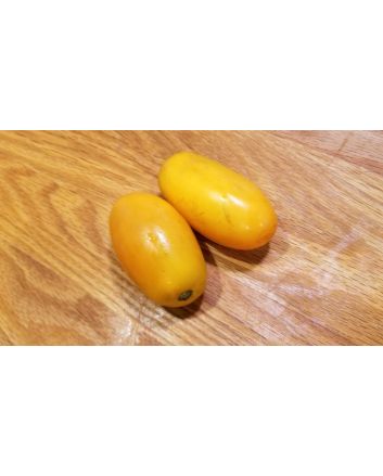 Tomato 'Orange Icicle' 