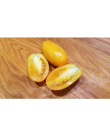 Tomato 'Orange Icicle' 
