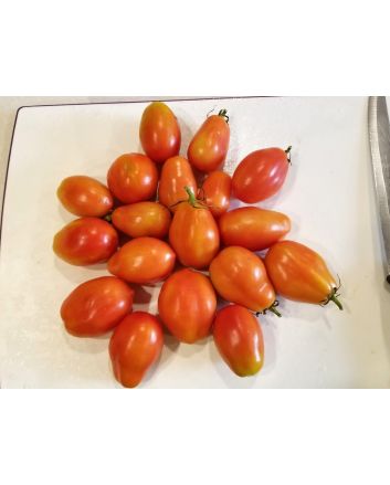 Tomato 'Napoli' 