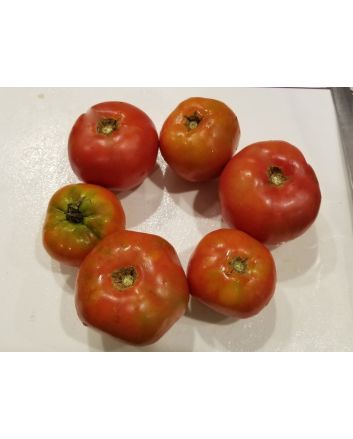Tomato 'Moskvich' Seeds (Naturally Grown)