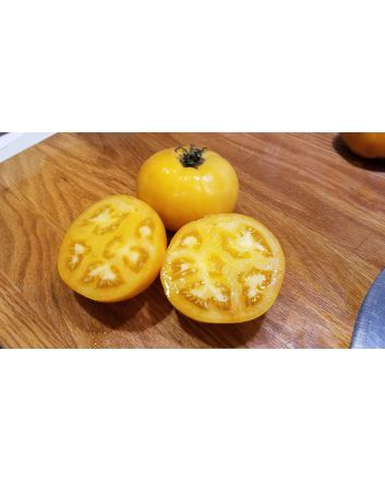 Tomato 'Tangerine'