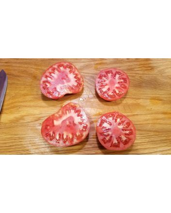 Tomato 'Super Beefsteak'