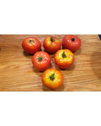 Tomato 'Double Rich' 