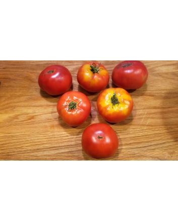 Tomato 'Double Rich' 