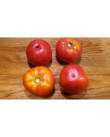 Tomato 'Rutgers'