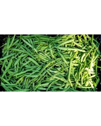 Pole Bean 'Katie's Mixed Snaps' 