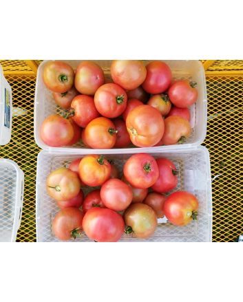 Tomato 'Purple Perfect' Seeds (Naturally Grown)