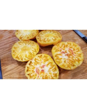 Tomato 'Walter's Candy Stripe' 