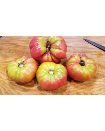 Tomato 'Omar's Lebanese' 