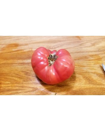 Tomato 'New Big Dwarf'