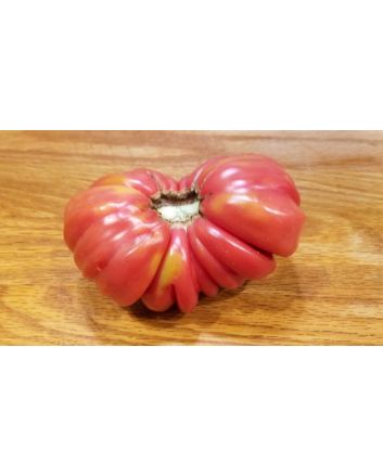 Tomato 'Pink Accordion'