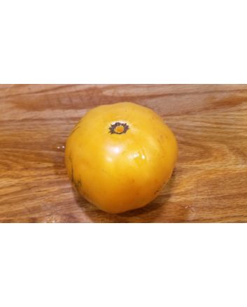 Tomato 'Persimmon'