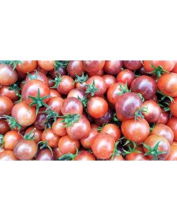 Tomato 'Blue Pitts' 