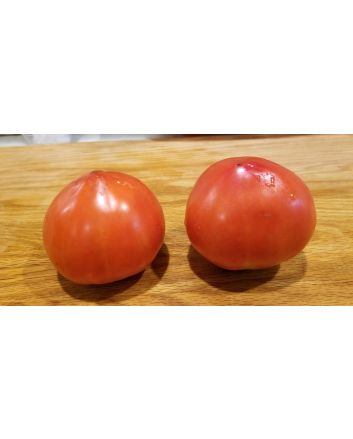 Tomato 'Anthony Bourdain' AKA ‘Anthony’s Passionate Heart’