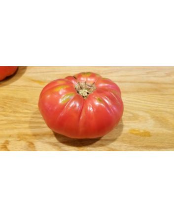 Tomato 'Seek-No-Further Love Apple'