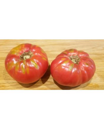 Tomato 'Seek-No-Further Love Apple'