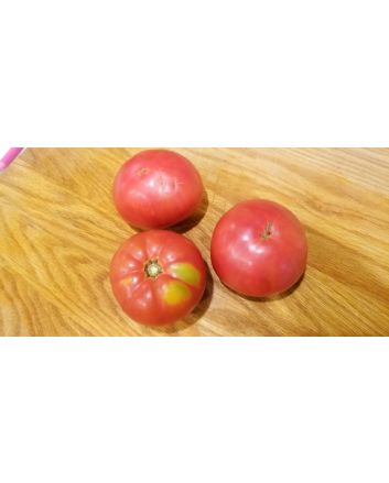 Tomato 'Missouri Pink Love Apple’ Seeds (Naturally Grown)