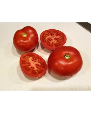 Tomato 'Beefsteak' Seeds (Naturally Grown)