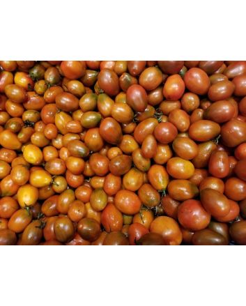 Tomato 'Black Plum'