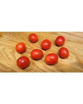 Tomato 'Ross Red Salad' 