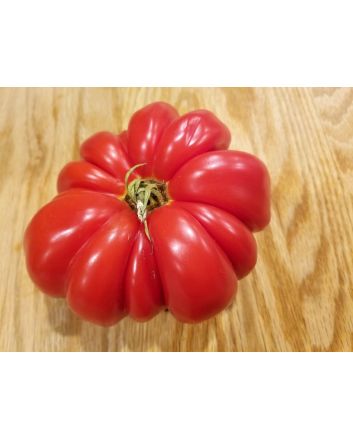 Tomato 'Red Mushroom Basket'