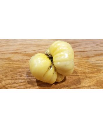 Tomato 'White Queen'
