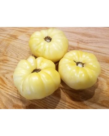 Tomato 'White Queen'