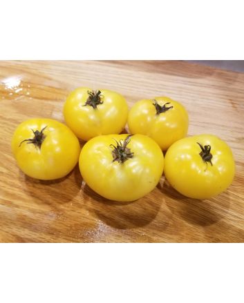 Tomato 'White Bush' 