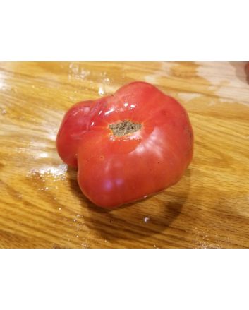 Tomato 'Lil's Favorite'