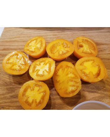 Tomato 'Valencia'