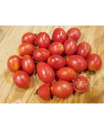 Tomato 'Principe Borghese'