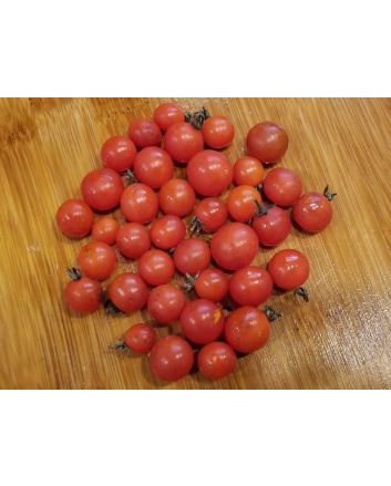 Tomato 'Candyland Red F2' Seeds