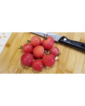 Tomato 'Small Pink Cherry RD' 