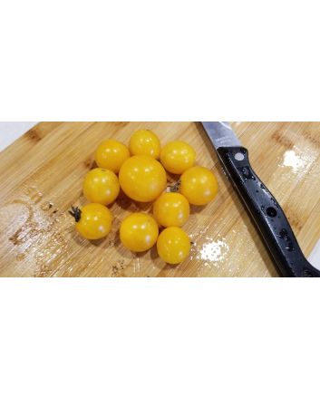 Tomato 'Small Yellow Cherry RD' 