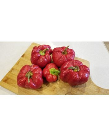 Sweet Pepper 'Pritamin Paprika' Seeds (Certified Organic)