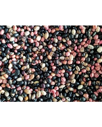 Pole Bean 'Katie's Mixed Snaps' 