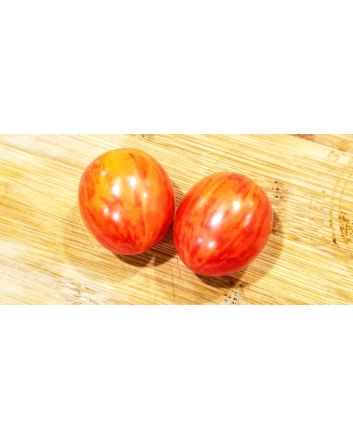 Tomato 'Sunrise Bumblebee' Plant (4" Pot, single)