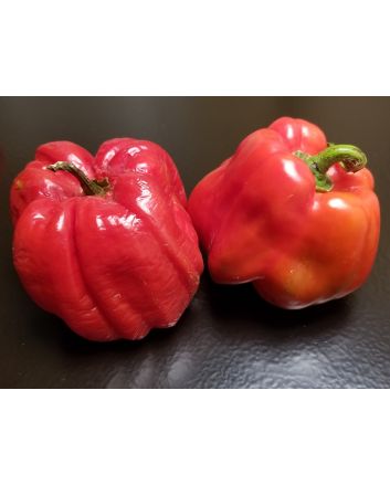 Hot Pepper ‘Aji Dulce' Seeds (Naturally Grown)
