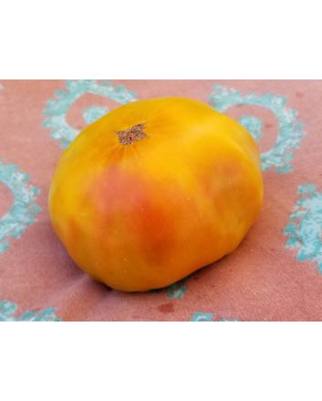Tomato 'Peppermint' 