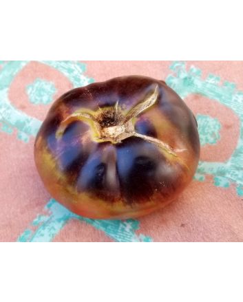 Tomato 'Black Beauty' Seeds