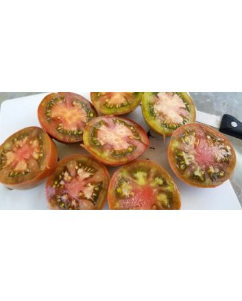 Tomato 'Black Russian'
