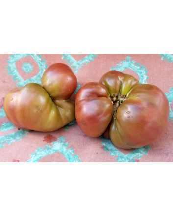Tomato 'BKX' AKA 'Black Krim Potato Leaf' 