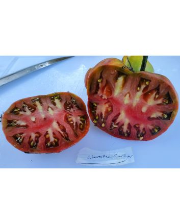 Tomato 'Cherokee Carbon' (Heirloom Marriage)