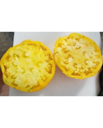Tomato 'Pilcer Vesy'
