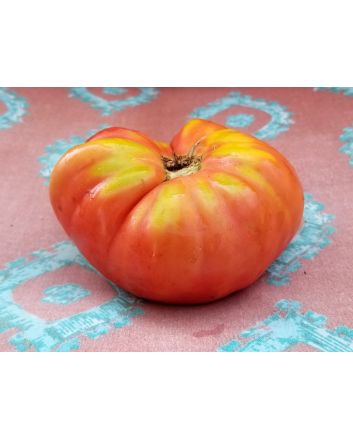Tomato 'Sandul Moldovan'