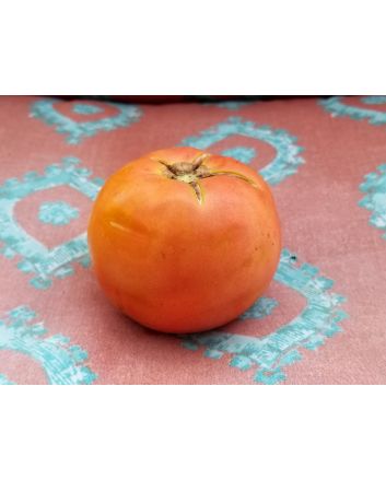 Tomato 'Razzleberry F2'