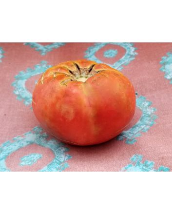 Tomato 'Razzleberry F2'