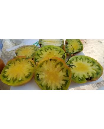 Tomato 'Captain Lucky' 