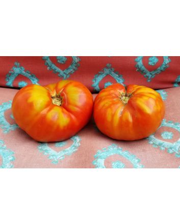 Tomato 'Andrew Rahart's Jumbo Red'